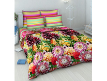 4275 ��������-2.jpg