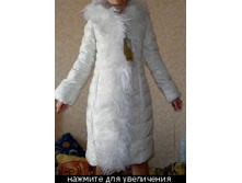 12552 �����.jpg