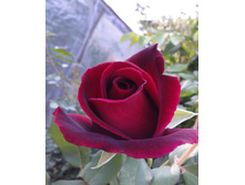 ����-0107 (2).jpg