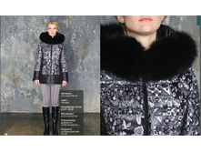 ���� ������ 5565�.JPG