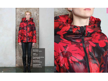 ����� ������ 2993�.JPG