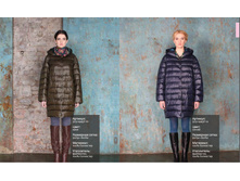 ����� ������ 2624�..JPG