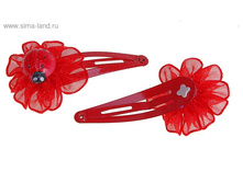 ��������� ��� ����� �����������, ����� �������, ����� 6 ���� ���. 561027  ���� 33,55 ��� �� 6 ������� ������!! ������!.jpg