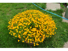 �������� ������������