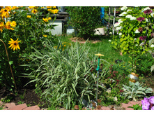 ����� �������