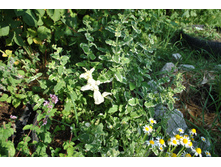 ���� � ����������