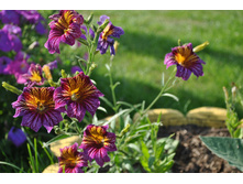 �������������