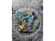 �������� ��������