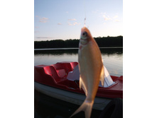 DSCF4064.JPG