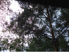 DSCF4150.JPG