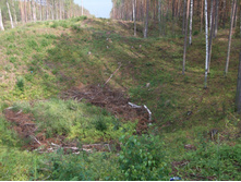 DSCF4172.JPG