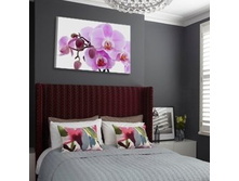 ������� 1.jpg