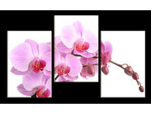 ������� 2.jpg