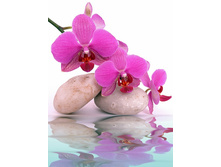 ������� 3.jpg