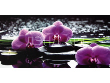 ������� 4.jpg