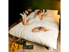 �������� ����������� ����� "������ Bob"