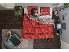 �������� ����������� ����� "������� �������"