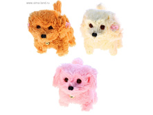 ������ ������� ������������ ������� � ���������, ����� �����, �����, ������, ����� ���� ���. 536502 ���� 93,12 ��� ���.2 ��.jpg