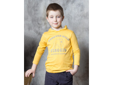 849-220  290���