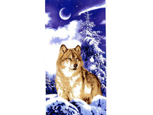 ���� 78���..jpeg