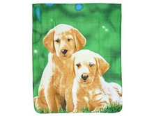 ������� ����. 130-160-258���..jpeg