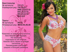 1200 �. �������� ���� ����������� + �������