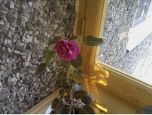 P30-07-14_20.13.jpg