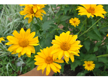 ��������� �������������������