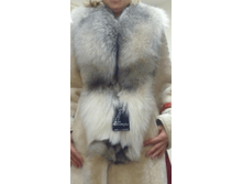 10335115.Bezimjnniy (1).png