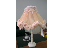 ��� №11, ���� 3050���