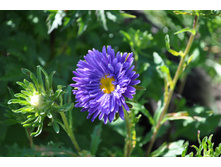 �����.�������.