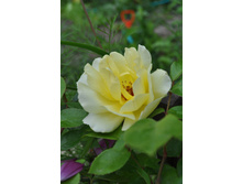 ��������� ������.��������� ������