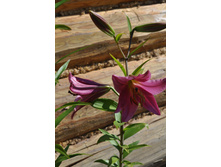 ����� �����.��-������