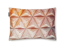 ��������� ������� "�������" ��������-�������