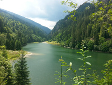 20140720_153201.jpg