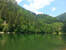 20140720_150524.jpg