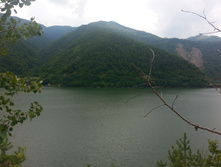 IMG-1405763237577-V.jpg