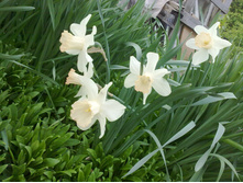 �������� � ����. ��������.jpg