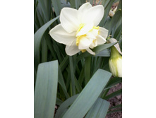 ������� ����� ���� � ����.������������.jpg