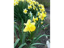 ������� ����_����.jpg