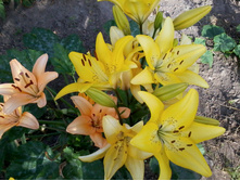 ������ � �������� �����.jpg