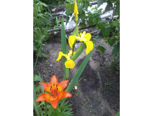 ���� ���������� � ����� ������������.jpg