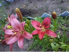 ����� �������.jpg