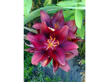 ����� ����� ����� (1).jpg