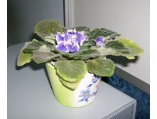 HPIM3309.JPG