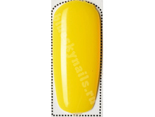 Bluesky NEON 03-���.����-�� ���� ���� ������ �� ���������.jpg