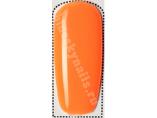 Bluesky NEON 04-���.����-�� ���� ���� ������ �� ���������.jpg