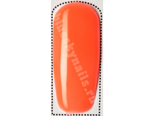 Bluesky NEON 22-���.����-�� ���� ���� ������ �� ���������.jpg