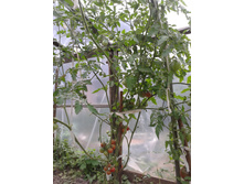 ����-0281 — �����.jpg