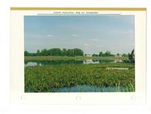 ����������� 003.jpg